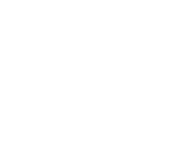 flying Tiger Copenhagen logo in white