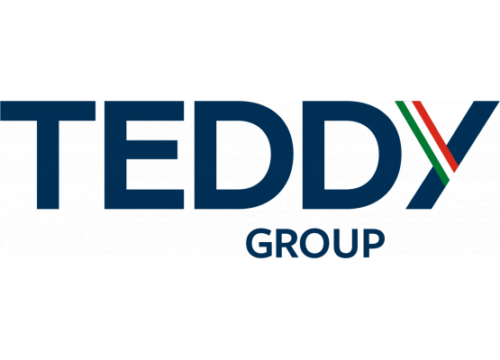 Teddy Group Logo color